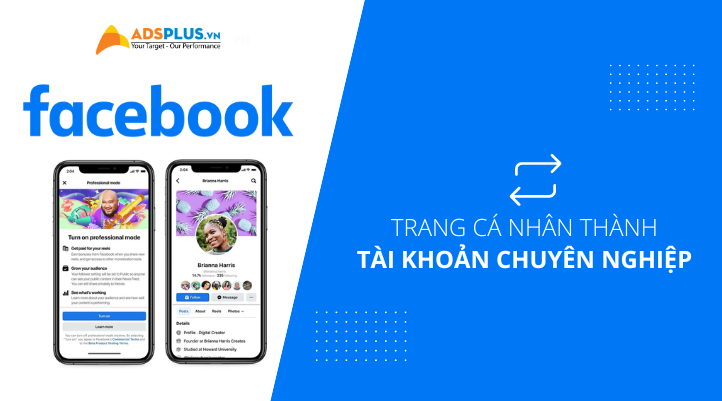 chế độ chuyên nghiệp facebook