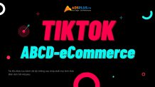 ebook tiktok ecommerce