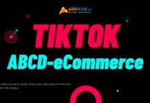 ebook tiktok ecommerce