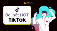 tổng hợp bài hát hot trên tiktok