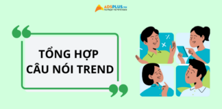câu nói trend