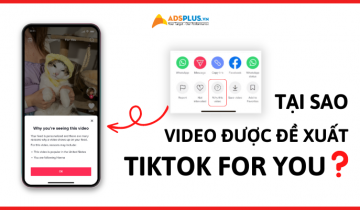 Tại sao video lại được TikTok đề xuất lên trang For You? đề xuất tiktok for you