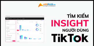 insight trên tiktok