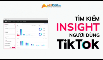 insight trên tiktok