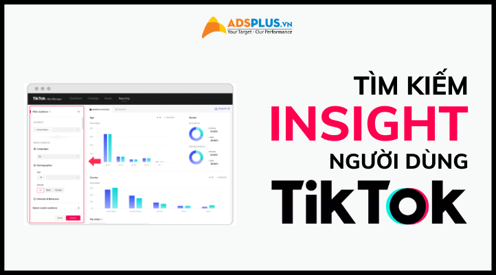 insight trên tiktok