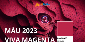 Màu Viva Magenta 2023 : Màu sắc mới đáng mong đợi của năm màu viva magenta 2023
