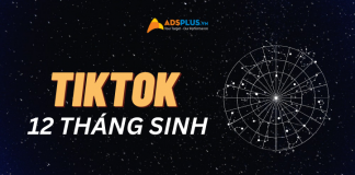 TikTok về 12 tháng sinh cung hoàng đạo tiktok về 12 tháng sinh