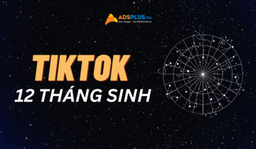 TikTok về 12 tháng sinh cung hoàng đạo tiktok về 12 tháng sinh