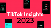 tiktok insight 2023