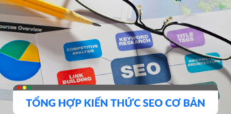 Kiến thức SEO cơ bản dành cho người mới bắt đầu kiến thức seo cơ bản