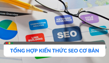 Kiến thức SEO cơ bản dành cho người mới bắt đầu kiến thức seo cơ bản