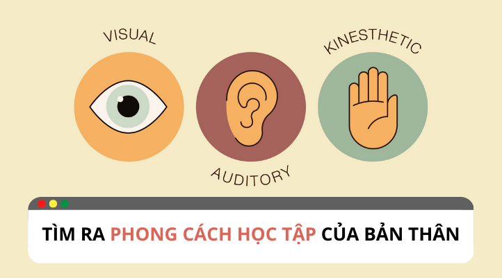 ban-la-mau-nguoi-thuoc-phong-cach-hoc-tap-nao