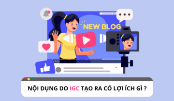 IGC là gì? Lợi ích khi doanh nghiệp sử dụng IGC là gì? IGC là gì? Lợi ích khi doanh nghiệp sử dụng IGC là gì?