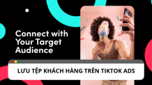 Tiết kiệm thời gian với lưu tệp khách hàng TikTok ads
