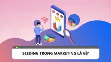 Seeding là gì ? Các loại seeding trong Marketing