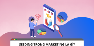 Seeding là gì ? Các loại seeding trong Marketing Seeding là gì ? Các loại seeding trong Marketing