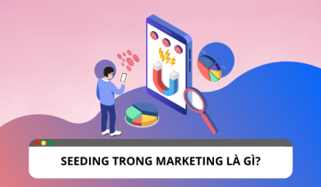 Seeding là gì ? Các loại seeding trong Marketing Seeding là gì ? Các loại seeding trong Marketing