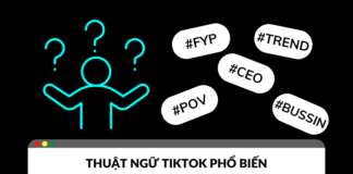 Từ điển tổng hợp các thuật ngữ TikTok phổ biến Từ điển tổng hợp các thuật ngữ TikTok phổ biến