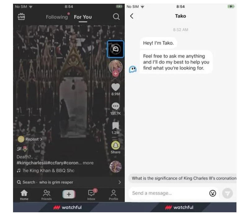 TikTok AI