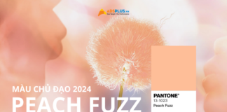 Màu Peach Fuzz 2024: Đại diện cho gắn kết và hiện đại Màu Peach Fuzz 2024: Đại diện cho gắn kết và hiện đại