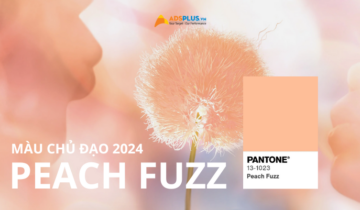 Màu Peach Fuzz 2024: Đại diện cho gắn kết và hiện đại Màu Peach Fuzz 2024: Đại diện cho gắn kết và hiện đại