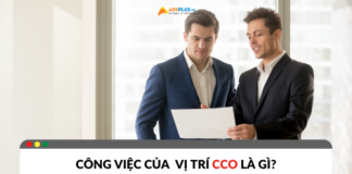 Công việc của CCO là gì? Vai trò và nhiệm vụ Công việc của CCO là gì? Vai trò và nhiệm vụ