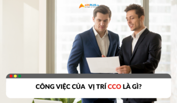 Công việc của CCO là gì? Vai trò và nhiệm vụ Công việc của CCO là gì? Vai trò và nhiệm vụ