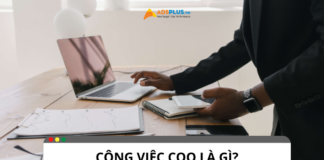 Công việc COO là gì? Vai trò, nhiệm vụ và kỹ năng cần có