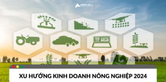 Xu hướng kinh doanh nông nghiệp 2024 Xu hướng kinh doanh nông nghiệp 2024