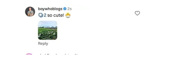 Ví dụ về bình luận trong Instagram