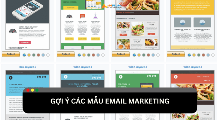 Tổng hợp các mẫu Email marketing phổ biến