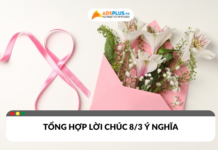 Tổng hợp lời chúc 8/3 hay và ý nghĩa dành tặng phái nữ