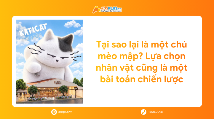 Katicat: Chiến lược đằng sau m&agrave;n ch&agrave;o s&acirc;n của m&egrave;o &uacute; nh&agrave; Katinat