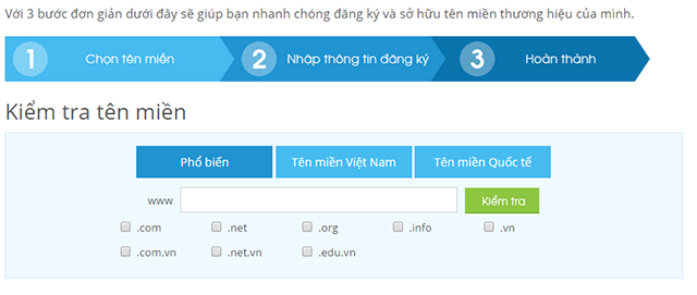 kiểm tra tên miền quốc tế ảnh 1