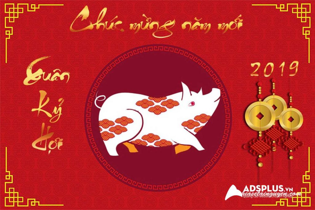 Qùa tết độc đáo 2019 05
