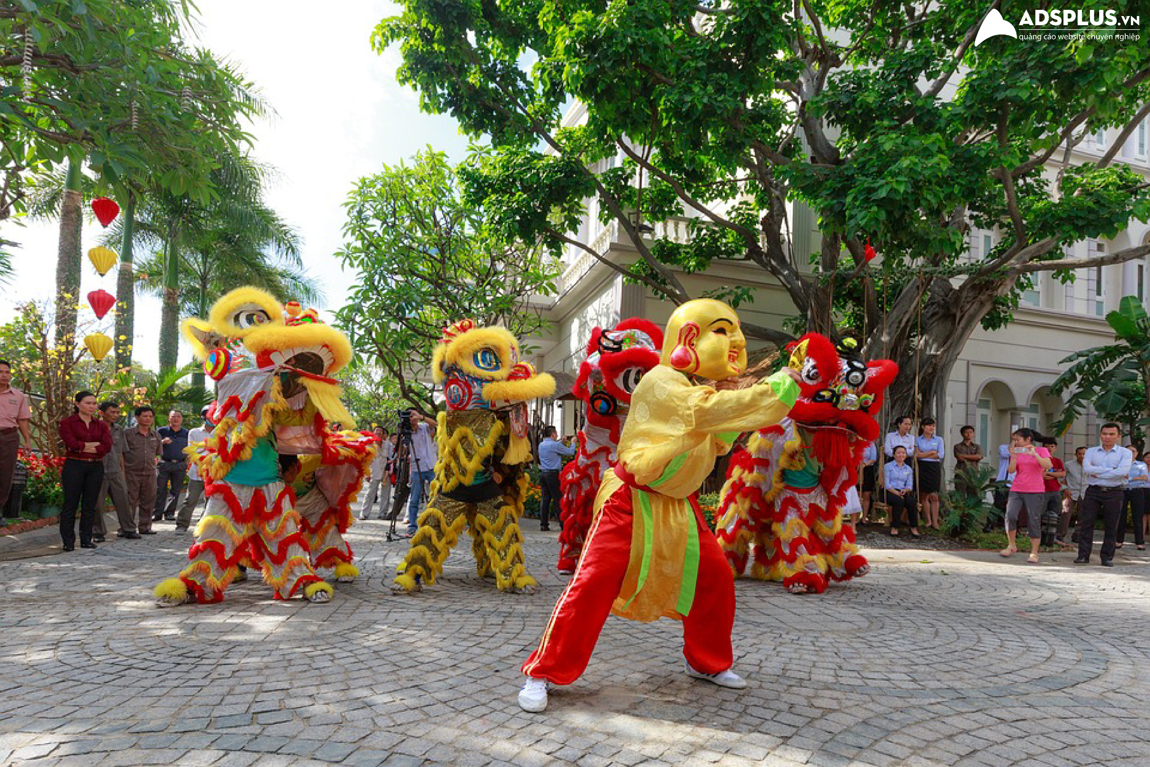 quảng cáo tết 01